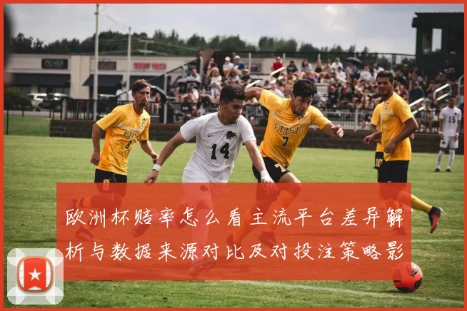 欧洲杯赔率怎么看主流平台差异解析与数据来源对比及对投注策略影响